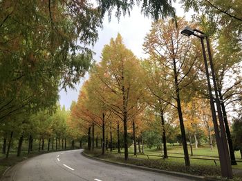 Road amidst trees against sky during autumn