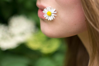 Close-up of woman holding flower in mouth