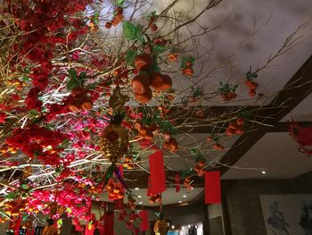 Low angle view of christmas tree against sky