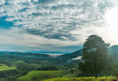 Scenic view of landscape against sky