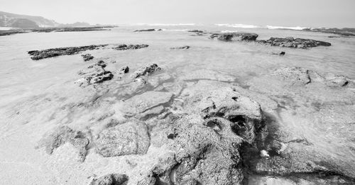 Aerial view of beach