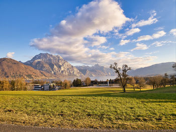 Scenic view of field against sky