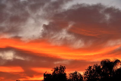 Low angle view of silhouette trees against dramatic sky