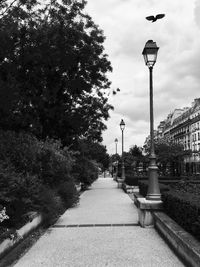 Street lights on footpath in city