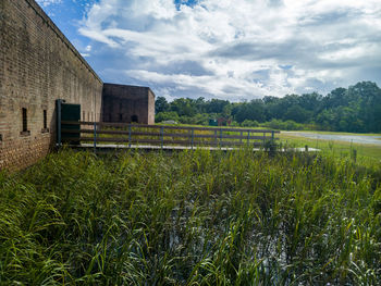 rural area
