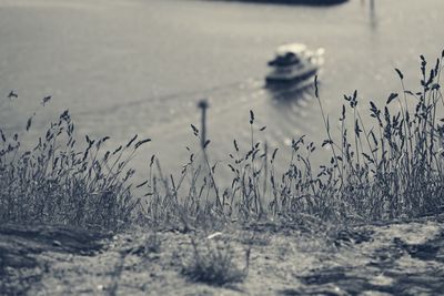 Scenic view of sea shore