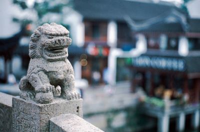 Close-up of lion statue