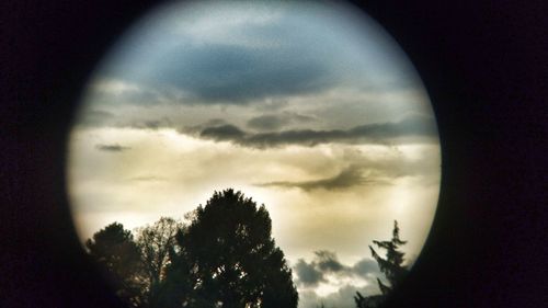 Close-up of silhouette tree against sky