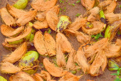 High angle view of vegetables for sale at market stall