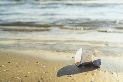 Boat on beach