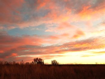 Scenic view of field against orange sky