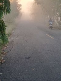 nature