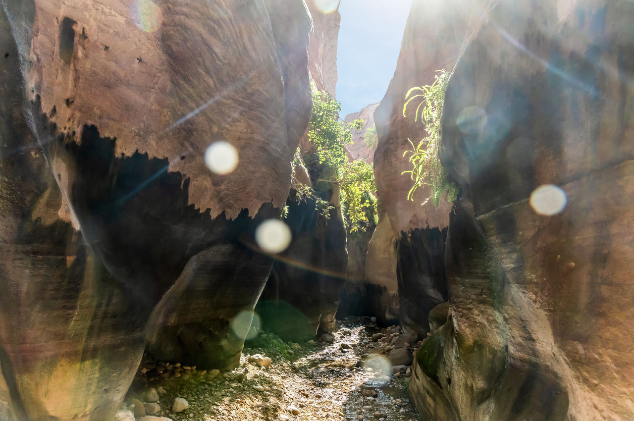 cave, lens flare, sunlight, nature, sunbeam, day, rock, no people, outdoors, plant, tree, aquarium, land, beauty in nature, sun, water, wildlife, caving