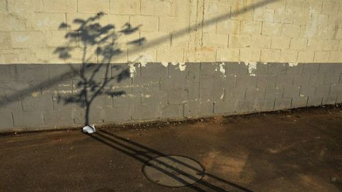 Shadow of water on road