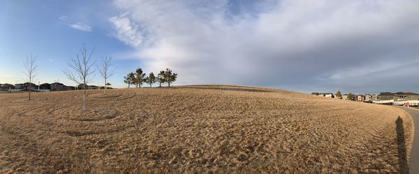 Panoramic view of agricultural field against sky