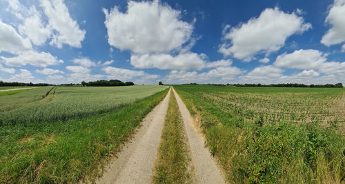 Beautiful high resolution panorama of a northern european country landscape with fields