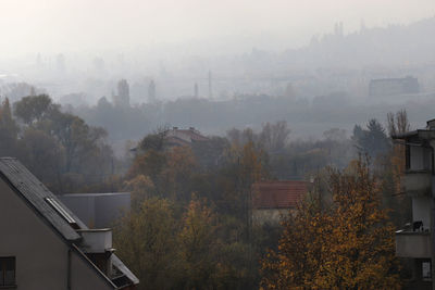 High angle view of trees and buildings in city