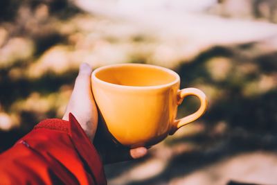 Coffee cup in forest