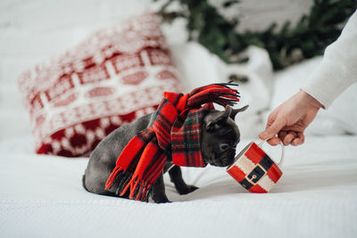 Midsection of woman holding gift box