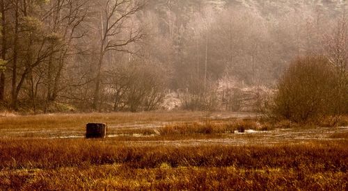 Scenic view of field in foggy weather