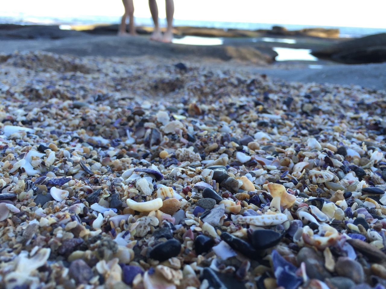 beach, pebble, sand, surface level, shore, selective focus, sea, stone - object, water, nature, seashell, focus on foreground, tranquility, stone, beauty in nature, tranquil scene, day, close-up, outdoors, sunlight