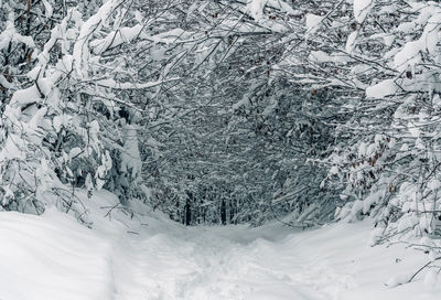 Full frame shot of snow