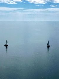 Sailboat sailing on sea against sky