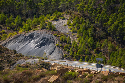 High angle view of road amidst trees and shale.