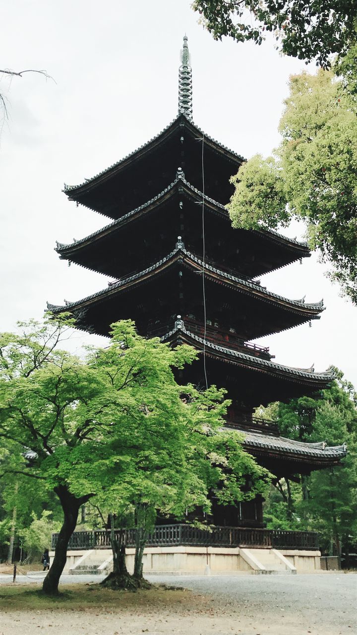 tree, plant, built structure, architecture, nature, religion, place of worship, building exterior, growth, sky, day, belief, spirituality, building, outdoors, pagoda, green color