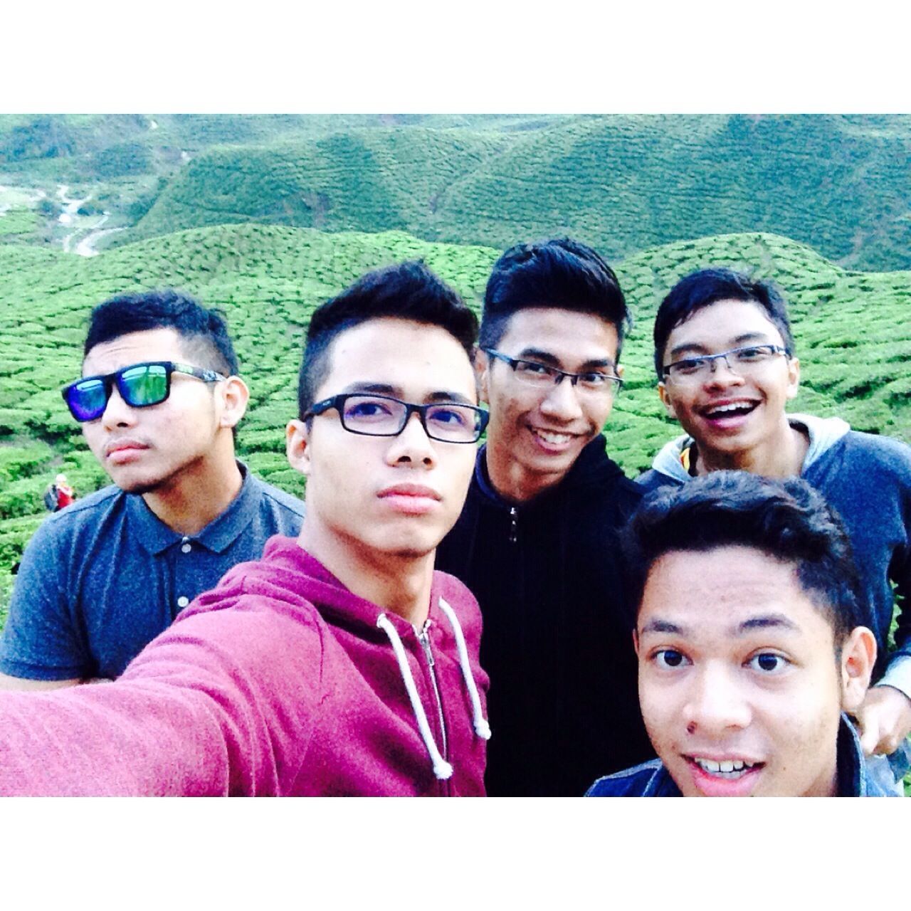 Cameron highland