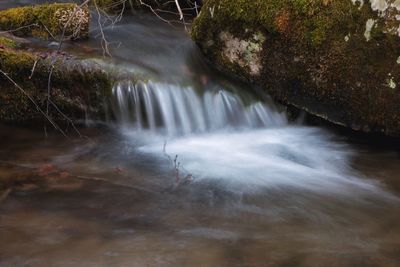 View of waterfall in forest