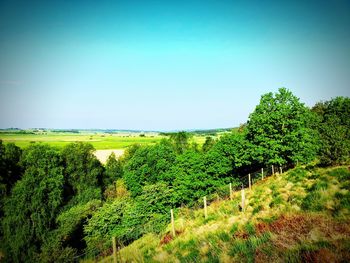 Scenic view of landscape against blue sky