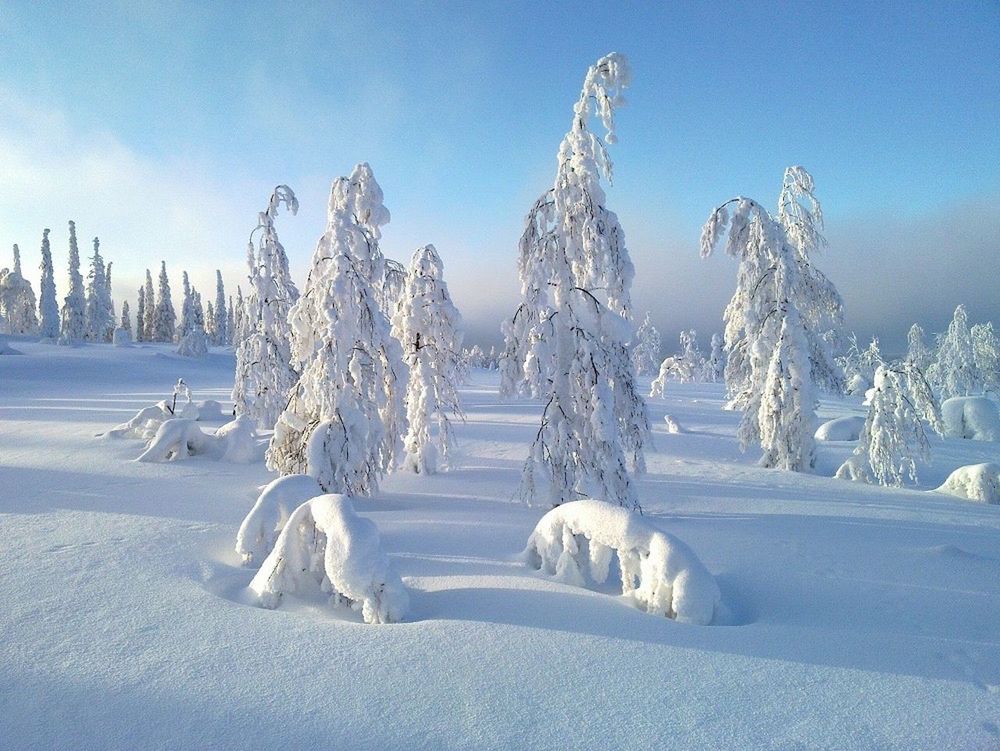 Finnish winter