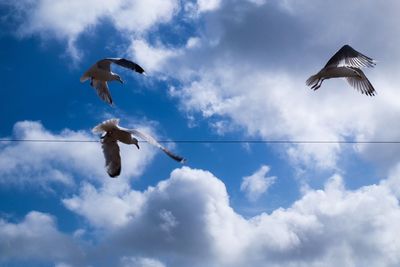 Low angle view of seagulls flying against cloudy sky