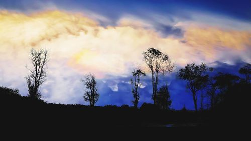 Low angle view of silhouette trees against sky during sunset