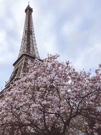 Spring in paris 