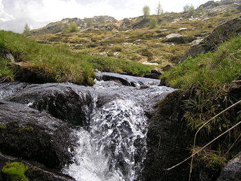 Stream flowing through rocks