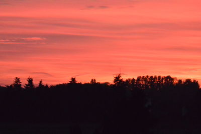 Silhouette trees against sky during sunset
