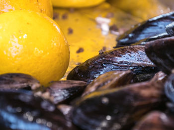 Cooked mussels in a bowl with lemon. stuffed mussels and lemon. mussels close up on a tray 