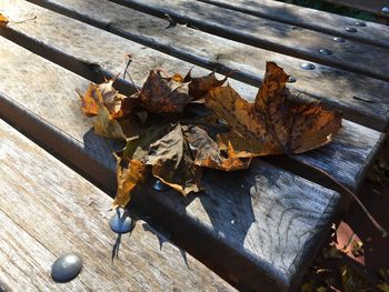 High angle view of dry maple leaf on wood