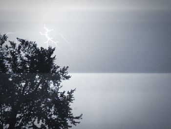 Low angle view of trees against sky