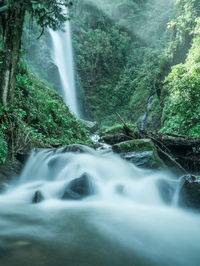 Scenic view of waterfall in forest