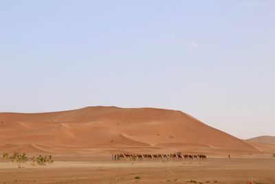 Scenic view of desert against clear sky