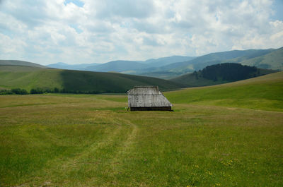 Shepard's house in green fields during spring