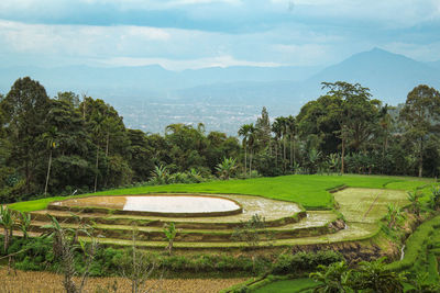 Scenic view of golf course against sky