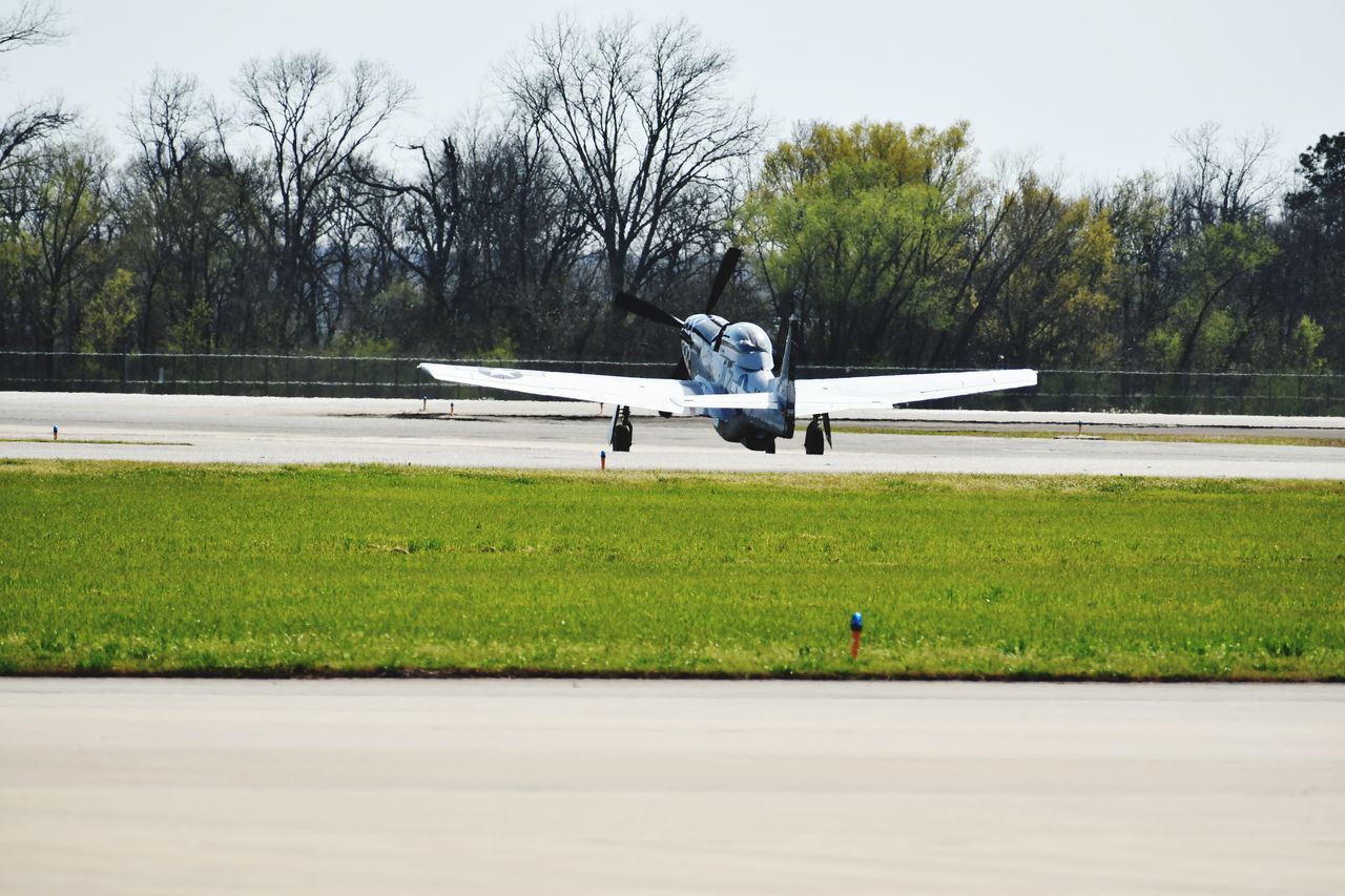 air vehicle, transportation, airplane, tree, plant, mode of transportation, vehicle, aircraft, aviation, airport, nature, sky, airport runway, day, travel, aerospace industry, glider, wing, motor glider, no people, grass, light aircraft, flying, outdoors, propeller airplane, aircraft wing