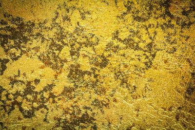 Full frame shot of yellow water on land
