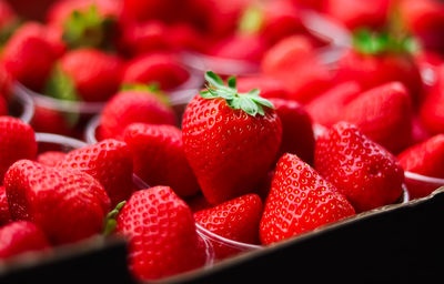 Close-up of strawberries