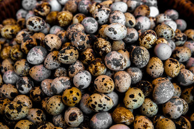 Full frame shot of food for sale