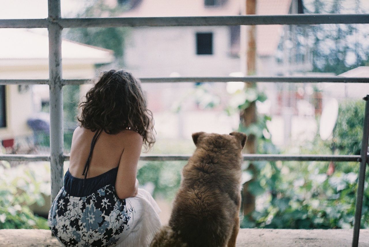 mammal, rear view, one person, domestic, pets, domestic animals, one animal, vertebrate, women, real people, leisure activity, lifestyles, window, day, built structure, cat, architecture, hair, outdoors, hairstyle